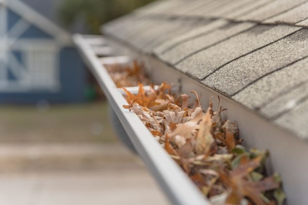 Leaf Barrier Installation in Coeur D Alene